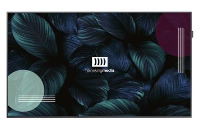 DSBbasic ohne Inhalt